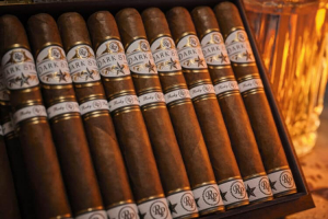 Rocky Patel Dark Star Short Star