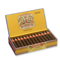 Partagas Robusto